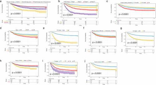 Figure 3. CSS survival curves in patients with G3 EACs