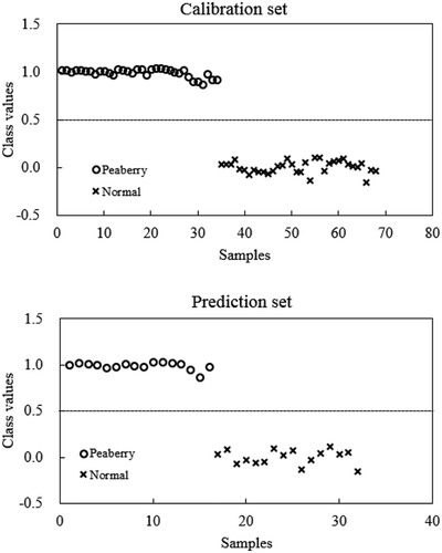 Figure 4. Estimated class values by the PLS-DA model versus the calibration and prediction sample plots for discrimination between peaberry and normal coffees.