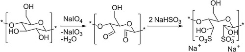 Figure 4 Periodate oxidation and further sulfonation of CNCs surface as reported by Liimatainen et al. Reproduced from Liimatainen H, Visanko M, Sirviö J, Hormi O, Niinimäki J. Sulfonated cellulose nanofibrils obtained from wood pulp through regioselective oxidative bisulfite pre-treatment. Cellulose. 2013;20(2):741–749. focus. Creative commons license and disclaimer available from: http://creativecommons.org/licenses/by/4.0/legalcode.Citation40