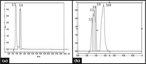 Figure 6. HPLC analysis of (A) tannic acid and (B) acetonic seed fraction 5.