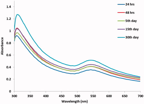 Figure 1. UV-vis spectrum of CR-AuNPs at 540 nm for the period of 24 and 48 h and 5, 15 and 30th day.