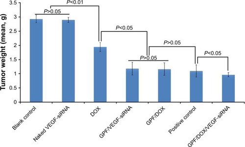 Figure 13 The tumor weights of blank control, naked VEGF-siRNA, DOX, GPF/VEGF-siRNA, GPF/DOX, DOX (positive control), and GPF/DOX/VEGF-siRNA (n=10).Abbreviations: DOX, doxorubicin; GPF, graphene oxide-poly-l-lysine hydrobromide/folic acid; siRNA, small interfering RNA; VEGF, vascular endothelial growth factor.