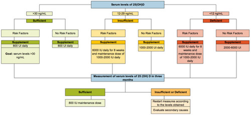 Figure 2 Vitamin D supplementation algorithm.