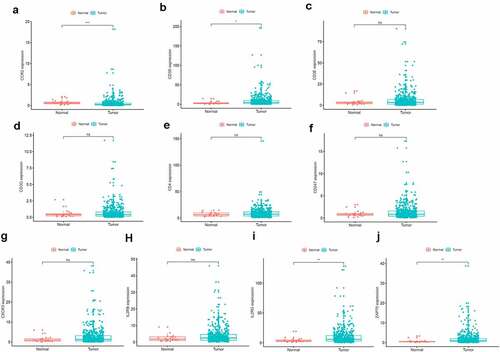 Figure 5. The prognostic value of CCR2 in EC patients. Different expression of CCR2 and other nine genes in the normal and tumor sample