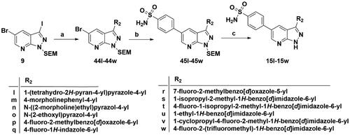 Scheme 9. Synthesis of target compounds 15l–15w. Reagents and conditions: (a) Arylboric acid, Pd(PPh3)4, Na2CO3, 1,4-dioxane: H2O = 4: 1, 80 °C, 6 h; (b) 4-(Aminosulfonyl) phenylboronic acid, Pd(PPh3)4, Na2CO3, 1,4-dioxane: H2O = 4: 1, 80 °C, 6 h; and (c) 4 M HCl in 1,4-dioxane, r.t., 4 h.