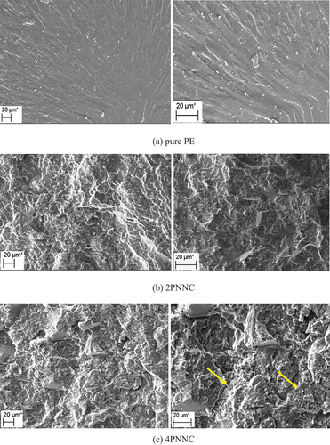 Figure 5. SEM images of fracture surface of as-made specimens under tensile load (a) pure PE (b) 2PNNC (c) 4PNNC.