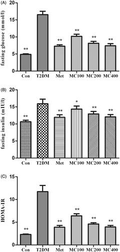 Figure 2. The change of fasting serum glucose, insulin, and HOMA-IR. After 8 weeks treatment, following an overnight fasting, rats were sacrificed and the serum was assay. (A) fasting serum glucose, (B) fasting serum insulin, (C) HOMA-IR; Con: control; T2DM: Type 2 diabetes mellitus; Met: Metformin; MC100: MCE 100 mg; MC200: MCE 200 mg; MC400: MCE400 mg. *p < 0.05 and **p < 0.01 the T2DM group versus control and treated groups.