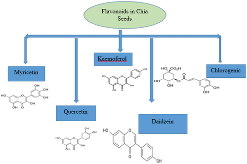Figure 2. Depicts the flavonoids present in chia seeds.