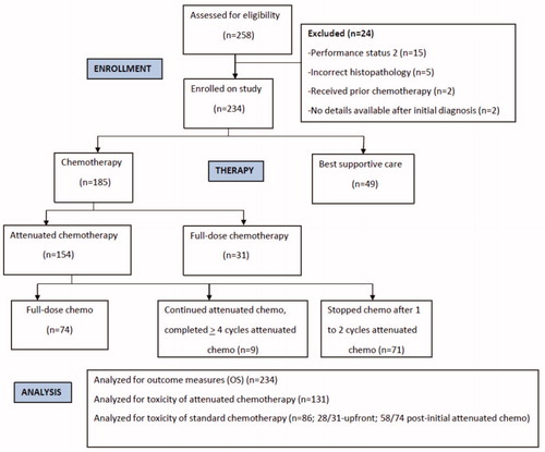 Figure 1. The flowchart of patients evaluated and enrolled on the small cell lung cancer poor performance status observational study.
