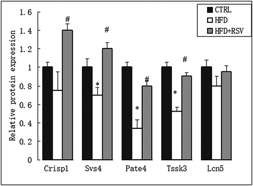 Figure 6. Five differentially expressed genes related to spermatozoa function (Crisp1, Pate4, Tssk3, Svs4, and Lcn5) were verified by quantitative RT-PCR. The mRNA expression levels of these genes were normalized to GAPDH levels, as measured by real-time RT-PCR in the CTRL, HFD and HFD+RSV groups. Data were presented as mean ± standard error of the mean (SEM). *P < 0.05 vs. CTRL, #P < 0.05 vs. HFD.