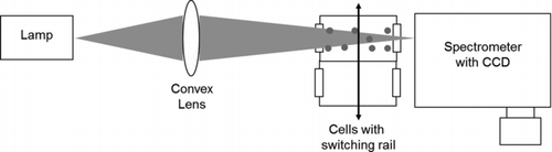 FIG. 1 Schematic diagram of the real-time laser transmission spectroscopy (RTLTS) optical system.