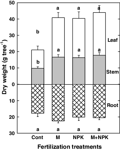 Figure 3. Biomass growth of Liriodenron tulipifera after treatments of manure compost and NPK fertilizer. Means with the same letter are not significantly different among treatments at α = 0.05. Vertical bars represent one standard error of the mean (n = 4).