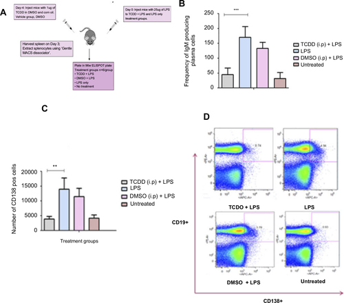 Figure S1 (A) Schematic of the TCDD-mediated suppression of the humoral response due to administration of 25 µg of LPS in C57BL/6 mice. (B) Humoral response measured by the frequency of IgM producing plasma cells elicited on day 3 after LPS challenge and day 4 after TCDD administration. (C) Reduced CD138+ plasma cell number after TCDD and LPS challenge. (D) FACS plot showing CD19+ CD138+ plasma cells in splenocytes from mice administered with TCDD and LPS challenge.