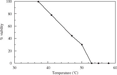 Figure 1. Viability of London yeast incubated for 15 min at increasing temperatures.