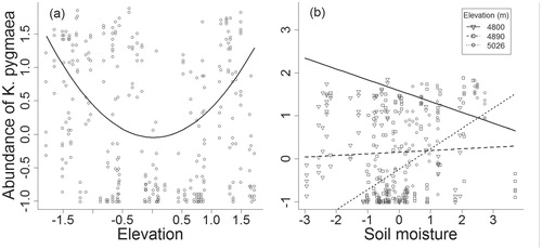 FIGURE 5. Graphs illustrating significant quadratic and interaction terms involved in best subset linear mixed effect model (LME) for abundance of Kobresia pygmaea C. B. Clarke. Regression lines were based on estimates of parameters in the LME model. The explanatory variables used in full model to derive best subset models include first and second order terms for elevation, soil moisture, grazing intensity, pika burrow, solar radiation index, and surface roughness, and interaction terms between grazing intensity, elevation, and soil moisture.