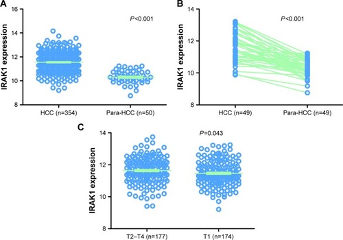 Figure 8 The expression of IRAK1in HCC in the TCGA data.