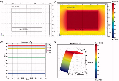 Figure 2. Control model when a stent is not inserted. The entire heated substance is defined as muscle. (A) Cross-sectional view of the model at x = 0 cm. (B) Temperature distribution after heating for 20 min. (C) Temperature profiles on the red line shown in Figure 2A. Each curve is the temperature profile at the heating time (min) indicated in the insert on the right. (D) Extrusion plot of temperature distribution on the red line shown in Figure 2A. Horizontal axis indicates the heating time in min. Maximum SAR 34 W/kg; maximum temperature 45.4 °C.