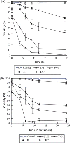 Figure 1. The effects of TNF-α, hyperthermia and their combination treatments on cell viability detected by trypan blue exclusion method. The treated cells were harvested at different times after the treatments and the number of viable cells was counted. TNF-α concentration was 5 ng/mL, and it remained in the medium until the cells were harvested; H: cells were incubated at 43°C for 1 h; T + H: TNF-α was added 1h before heating; H + T: TNF was added after heating 43°C for 1 h. The data presented are the mean and standard deviation of three independent determinations. (A) L929 cells, (B) rL929 cells.