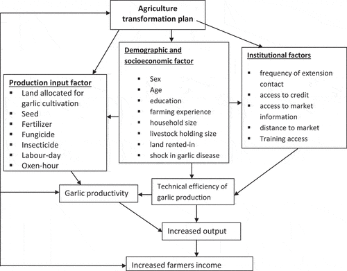 Figure 3. The study’s conceptual framework.