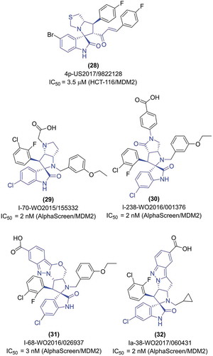 Figure 8. Structure and in vitro activity of exemplary MDM2 inhibitors based on spiro-oxindoles connected with multiple rings.