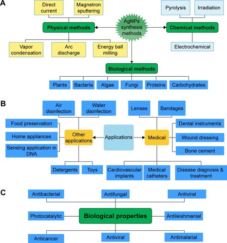 Figure 1 Overall view of (A) synthesis methods, (B) biological properties, and (C) biomedical applications and toxicity of AgNPs.Abbreviation: AgNPs, silver nanoparticles.