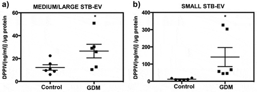 Figure 6. DPPIV activity is increased in STB-EVs of GDM pregnancies.(a) DPPIV concentration in MEDIUM/LARGE STB-EVs from GDM versus control isolated from placental perfusions (n = 6 for both groups; *p < 0.05). (b) DPPIV concentration in SMALL STB-EVs from GDM versus control isolated from placental perfusions (n = 6 for both groups; *p < 0.05).