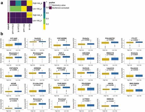 Figure 6. Immunotherapeutic and chemotherapeutic responses in high- and low-risk patients with LUSC (a) Immunotherapeutic responses to anti-CTLA-4 and -PD-1 treatments in high- and low-risk patients. (b) Differential chemotherapeutic responses in high- and low-risk patients