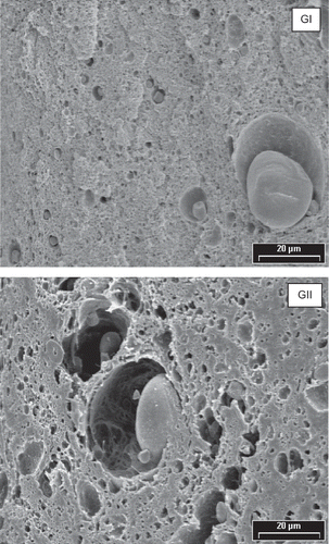 Figure 7 SEM photographs of gluten. Magnification: 2200 x. Gluten prepared with FI (GI) and with FII (GII) flours.