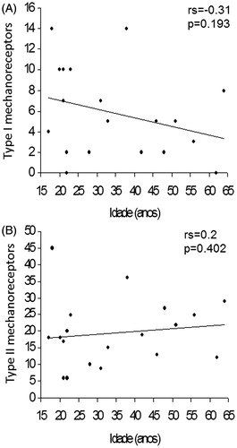 Figure 2. Correlation between age and the number of Type I (A) and Type II (B) mechanoreceptors in the femoral portion of the PCL.