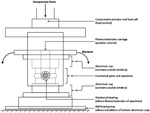 Figure 1. A schematic of the material testing system set-up.