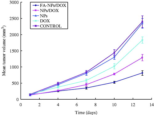 Figure 5. The tumor growth curves of FA-NPs/DOX, NPs/DOX, NPs, and free DOX.