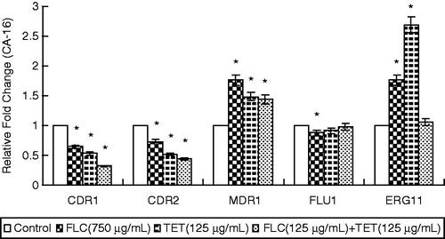 Figure 3. The expression levels of the drug resistance genes CDR1, CDR2, MDR1, FLU1 and ERG11 in fluconazole-resistant CA-16 cells that were either treated with FLC and/or TET relative to those in untreated cells. The ratios represent the mean ± standard deviations for three independent experiments. *p < 0.05 versus control cells.