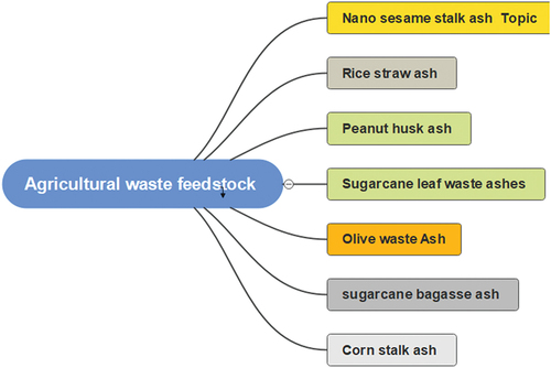 Figure 3. The investigated agricultural waste feedstock for substituting cement in building materials.