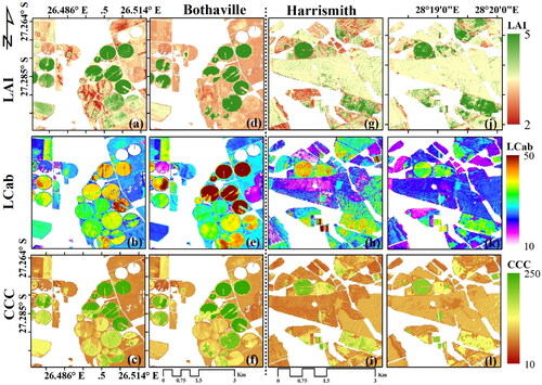 Figure 5. Maps generated by the best models with S2-10m and S2-20m data in Bothaville (a–f) and Harrismith (g–l). (a) and (d) show the best LAI (m2 m−2) results using GPR (S2-10m) and RF (S2-20m), (b) and (e) show the best LCab (µg cm−2) results using XGBoost (S2-10m) and GPR (S2-20m), and (c) and (f) show the best CCC (µg cm−2) results using XGBoost for both S2-10m and S2-20m in Bothaville. (g) and (j) show the best LAI model using GPR for both S2-10m and S2-20m, (h) and (k) show best LCab model results using GPR with both S2-10m and S2-20m, and (j) and (l) show the best CCC results using GPR (S2-10m) and RF (S2-20m), respectively.