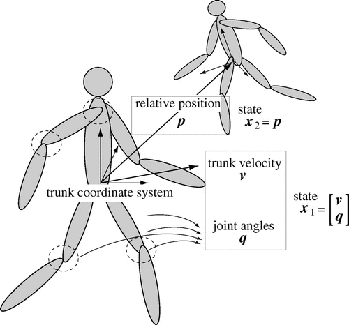 Figure 3. The state vector consists of three different vectors representing the velocity of the trunk, the joint angles of the whole body, and the relative position of the other.