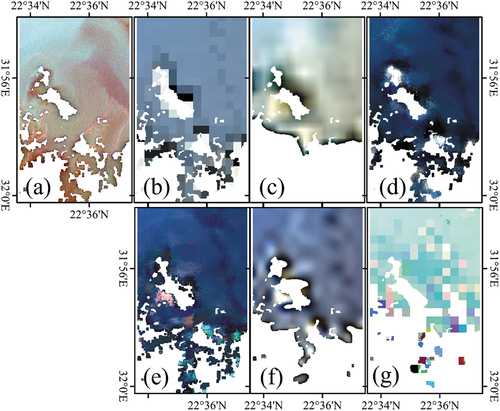 Figure 13. Detailed images in the red rectangle marked region in Figure. 3 of Landsat (a), MODIS (b), STARFM (c), FSDAF (d), ESTARFM (e), RASTFM (f), and UBDF (g), respectively.