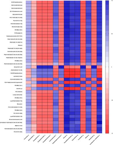 Figure 6 Correlation plot showing the correlation between perturbed gut bacteria and altered plasma metabolites.Abbreviations: p, phylum; c, class; o, order; f, family; g, genus; s, species.