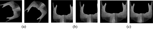 Figure 13. (a) Data augmentation by rotation (−90 to +90), (b) data augmentation by translate (shifting 10–35 pixels in X and Y direction) and (c) data augmentation by scaling from value of 1 to 2.