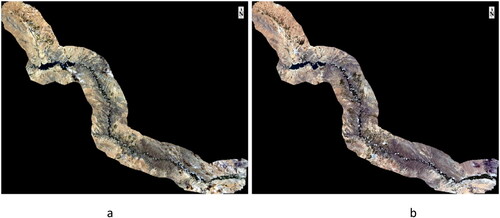 Figure 2. Landsat 7 & 8 Satellite images of Zayandeh-Rud agricultural areas for (a) 2001 and (b) 2016.