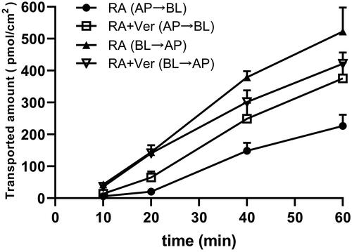 Figure 3. Effects of verapamil on the transported amount of RA across Caco-2 cell monolayer in different time points with a concentration of 25 μM. Each point represents the mean ± SD of three determinations. AP: apical side; BL: basolateral side.
