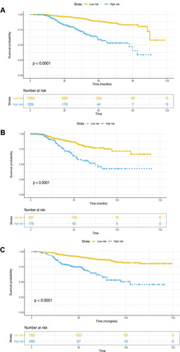 Figure 4 Clinical risk stratification based on nomogram for OS and the plot of overall survival of different risk subgroups. (A) OS in the low-risk and high-risk subgroups classified by a cut-off of ≤115 and>115, respectively, in the SYSU6thA-A development cohort; OS in the low-risk and high-risk subgroups classified by the same cut-off of 115 in (B) the SYSU6thA-B internal validation cohort and (C) the external validation SYSUCC cohort.