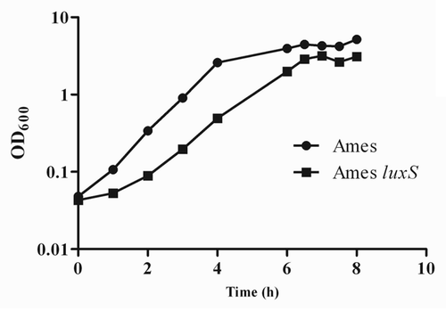 Figure 2. The B. anthracis luxS mutant exhibited impaired growth in BHI broth. Comparison is made of growth between the Ames wild-type (circles) and the luxS (squares) bacteria in BHI broth. These data are representative of the results of at least three independent experiments.