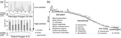 Fig. 4  Vegetation cover and distribution in the studied ice-wedge polygons. (a) The distribution of main plant functional types is linked to relative surface height. Shrub cover is increased on elevated surfaces. Graminoid cover is increased on low-lying surfaces in local depressions. The vegetation cover data are corrected to sum up to 100%. Line graphs below stacked column graphs show the surface height relative to the highest point in each transect. (b) Schematic surface height ranges of shrub species in investigated ice-wedge polygon mires. Ranges are derived from univariate regression tree analysis.