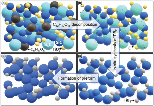 Figure 3. Schematic illustration of TiB2-SiC porous preform formation.