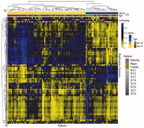Figure 3. Radiomics heat map. (a) Unsupervised hierarchical clustering of 101 image features from 96 glioblastoma patients. Quantitative imaging features were normalized [0, 1], then clustered linking with Euclidean metric distance. (b) Selected radiomics features corresponding to the age group. (c) Cluster results show strong consistency with age grouping (T test, p value =0.006).