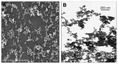 Figure 1 Characterization of the cerium oxide nanoparticles by (A) field emission scanning electron microscopy and (B) transmission electron microscopy (scale bar = 200 nm) of a dilute cerium oxide suspension.