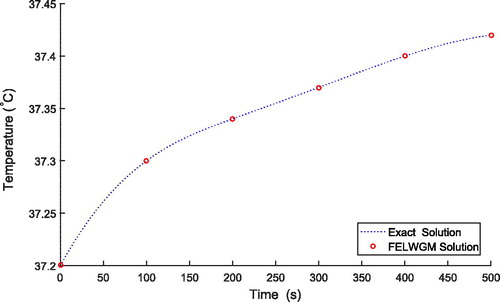 Figure 6. Plot of comparison in FELWGM solution and Exact solution.