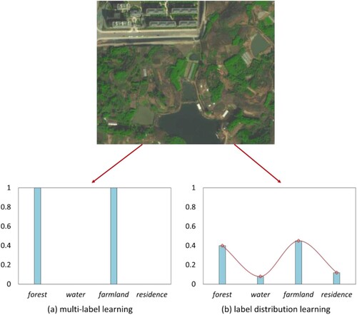 Figure 4. Distinction between multi-label learning and label distribution learning.