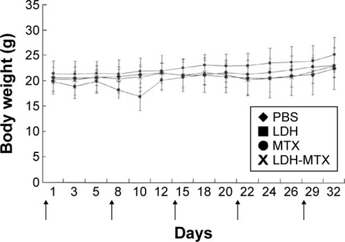 Figure 5 Body weight changes observed in the mice treated with PBS, LDH, MTX, and LDH-MTX.Note: The arrows indicate the injection points.Abbreviations: LDH, layered double hydroxide; MTX, methotrexate; LDH-MTX, layered double hydroxide-methotrexate; PBS, phosphate-buffered saline.