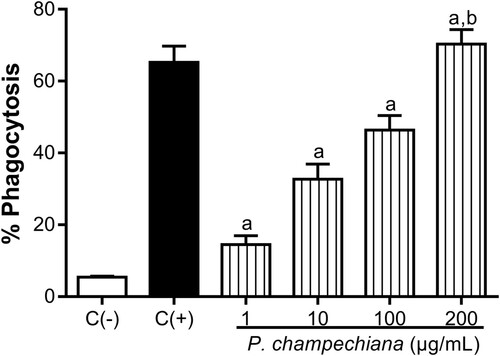 Figure 1. Effect of the MeOH extract of P. campechiana leaves on the macrophages’ phagocytic activity. The results represent the mean ± SD of three independent experiments (n = 3) and were analysed using the ANOVA test followed by Dunnett’s post hoc test. Letter “a” indicates significant differences in comparison to negative control or C(−), with p < .05. Letter “b” indicates significant differences in comparison to positive control or C(+), with p < .05. C(−): macrophages and S. cerevisiae yeasts labelled with PI (1 µg/mL), C(+): activated macrophages with LPS (1 µg/mL) and S. cerevisiae yeasts labelled with PI (1 µg/mL).